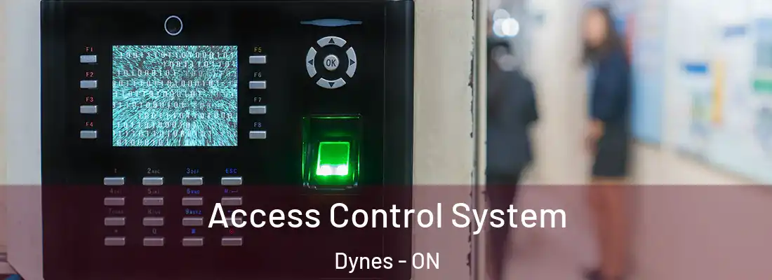  Access Control System Dynes - ON