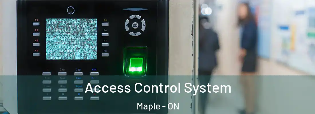  Access Control System Maple - ON