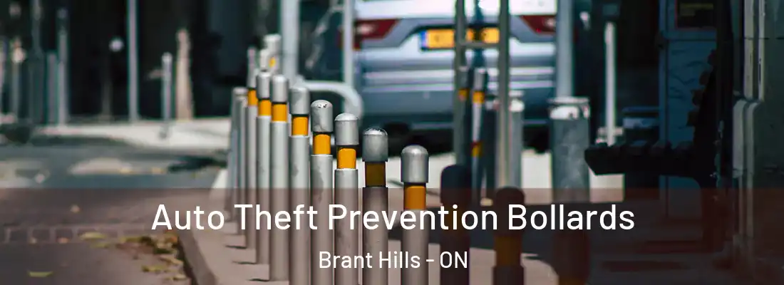  Auto Theft Prevention Bollards Brant Hills - ON