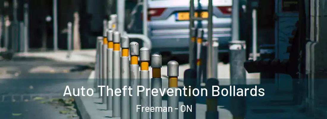  Auto Theft Prevention Bollards Freeman - ON