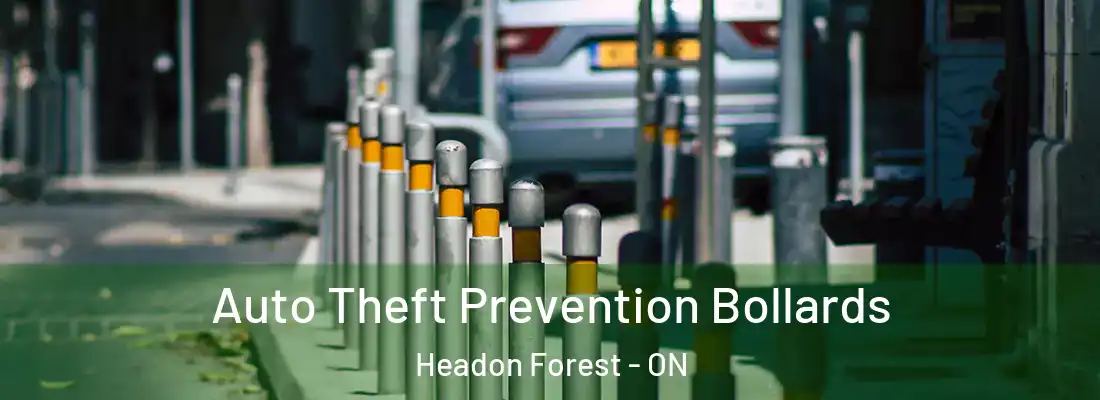  Auto Theft Prevention Bollards Headon Forest - ON
