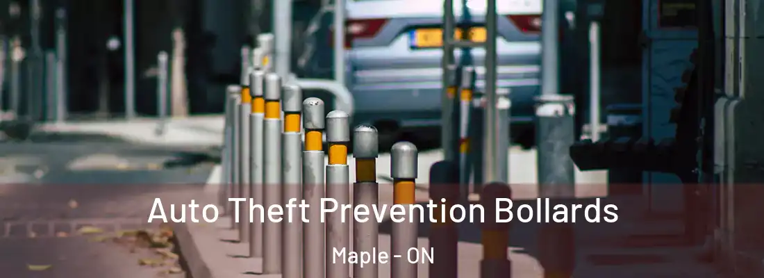  Auto Theft Prevention Bollards Maple - ON