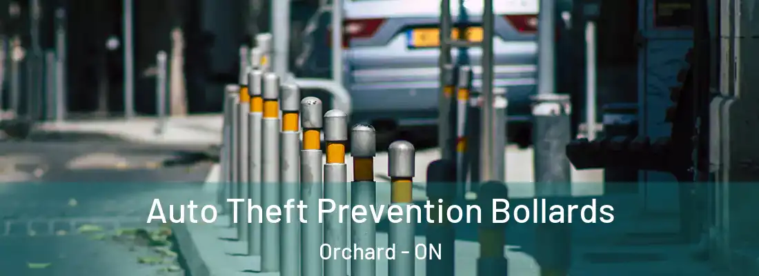  Auto Theft Prevention Bollards Orchard - ON