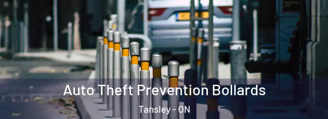  Auto Theft Prevention Bollards Tansley - ON