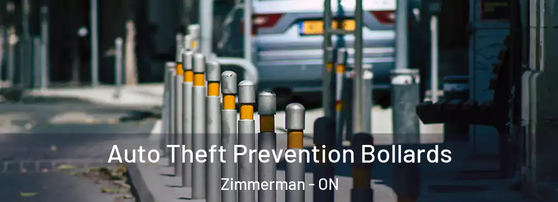  Auto Theft Prevention Bollards Zimmerman - ON