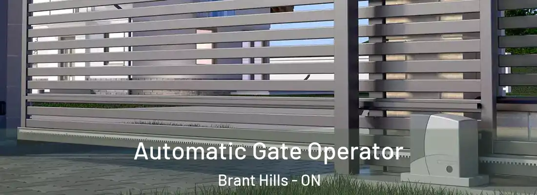  Automatic Gate Operator Brant Hills - ON