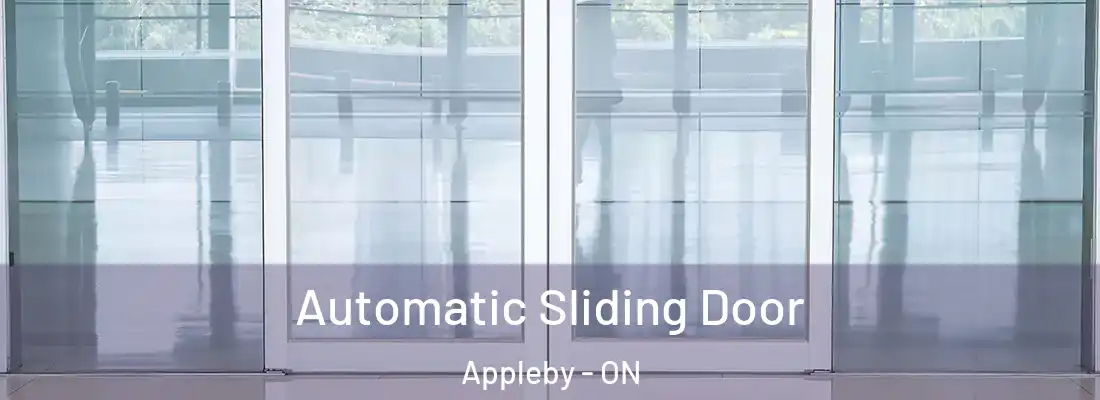  Automatic Sliding Door Appleby - ON