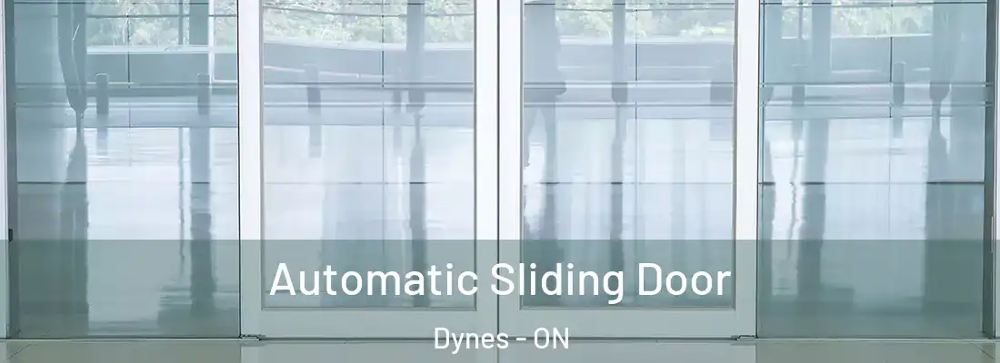  Automatic Sliding Door Dynes - ON