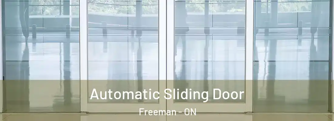  Automatic Sliding Door Freeman - ON