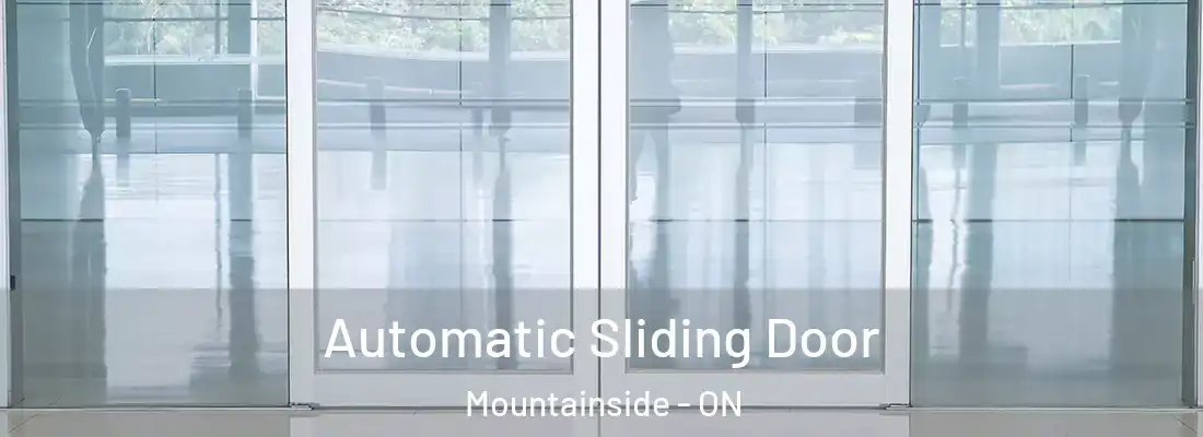  Automatic Sliding Door Mountainside - ON