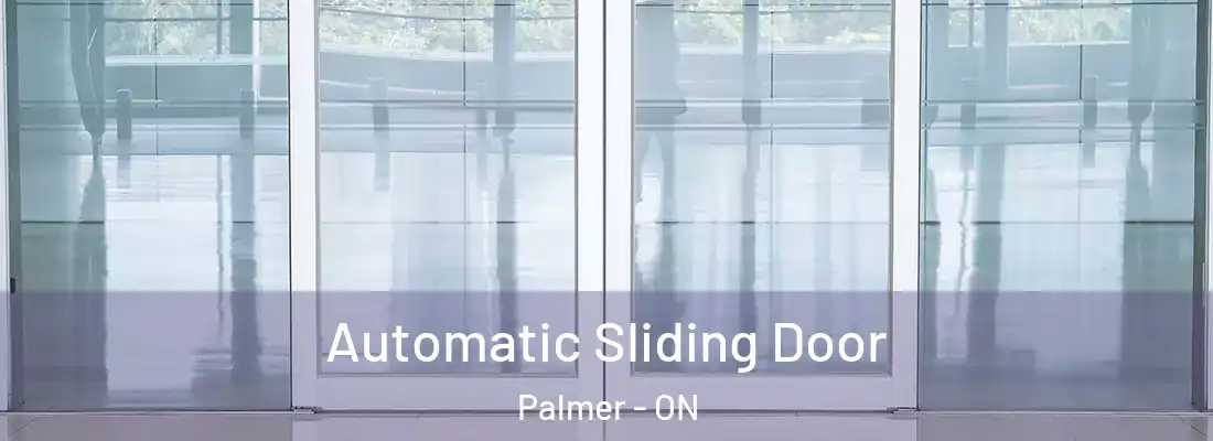  Automatic Sliding Door Palmer - ON