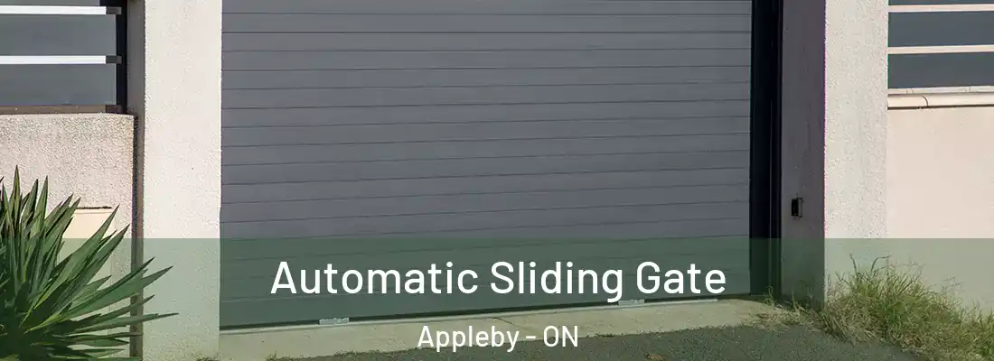  Automatic Sliding Gate Appleby - ON