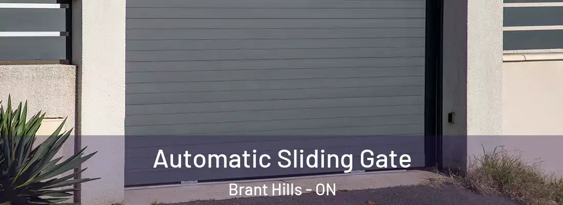  Automatic Sliding Gate Brant Hills - ON
