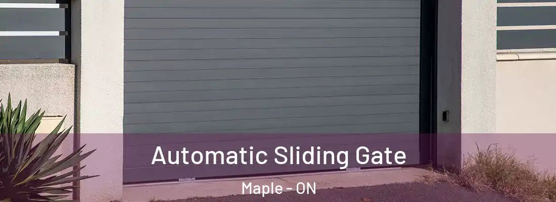 Automatic Sliding Gate Maple - ON