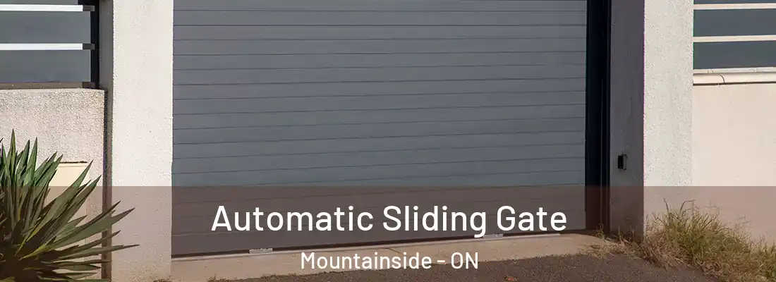  Automatic Sliding Gate Mountainside - ON