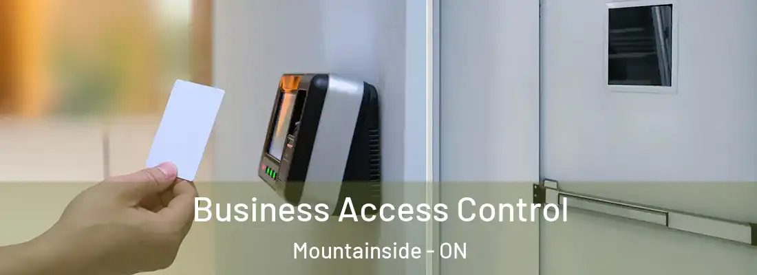  Business Access Control Mountainside - ON