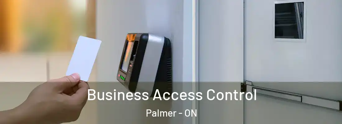  Business Access Control Palmer - ON