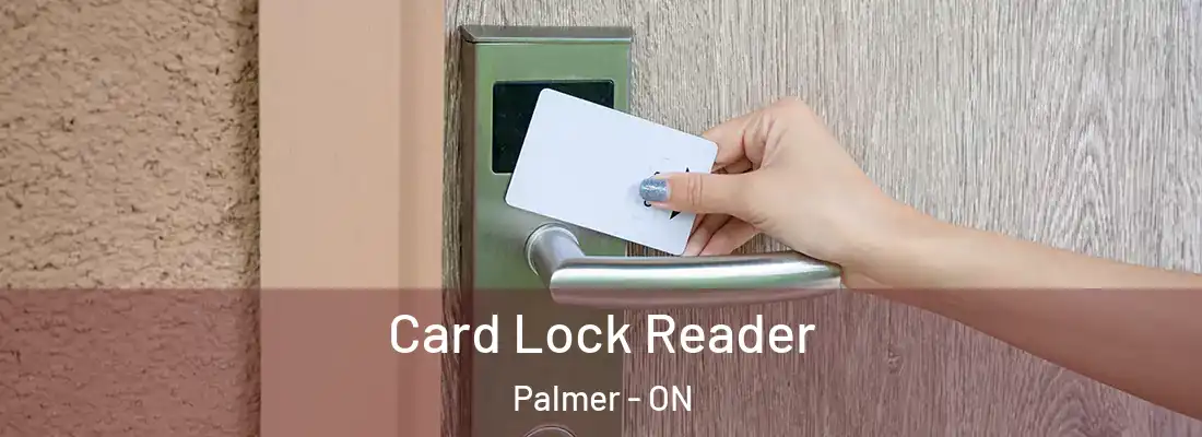  Card Lock Reader Palmer - ON
