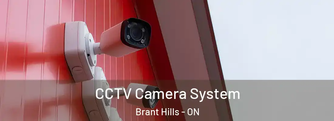  CCTV Camera System Brant Hills - ON