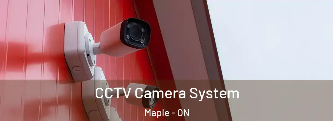  CCTV Camera System Maple - ON