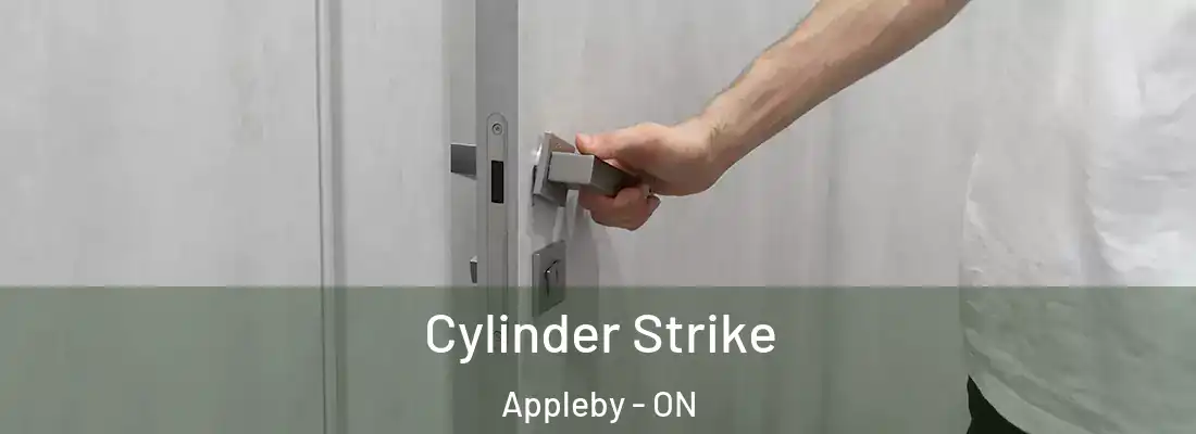  Cylinder Strike Appleby - ON