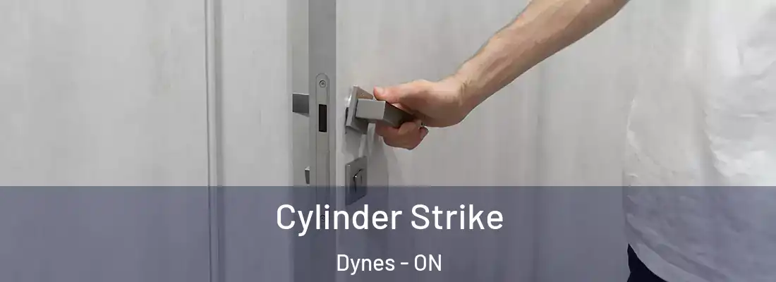  Cylinder Strike Dynes - ON