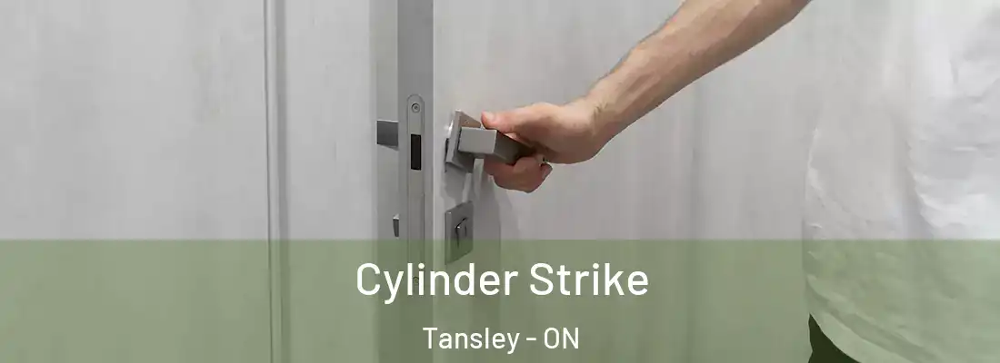 Cylinder Strike Tansley - ON
