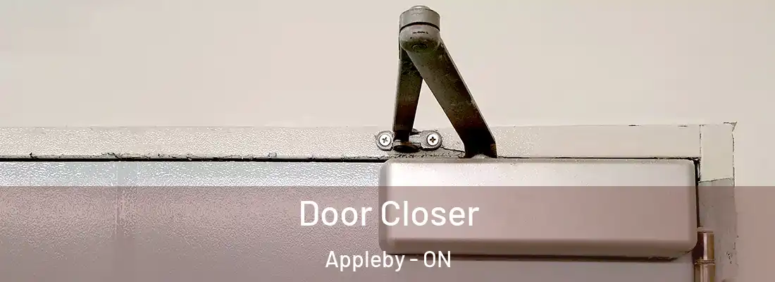  Door Closer Appleby - ON
