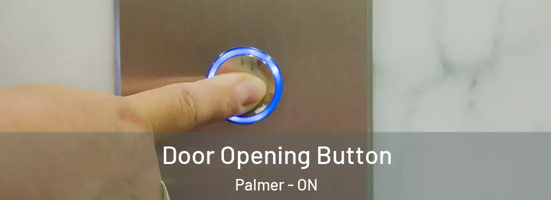  Door Opening Button Palmer - ON