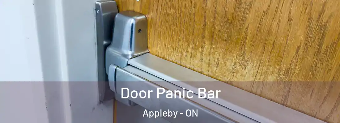  Door Panic Bar Appleby - ON