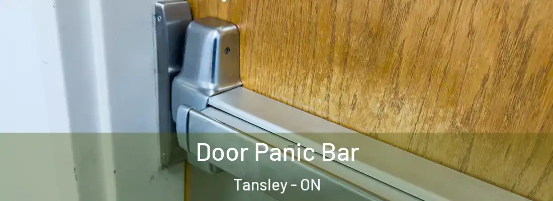  Door Panic Bar Tansley - ON