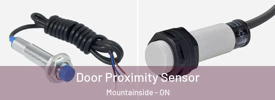  Door Proximity Sensor Mountainside - ON