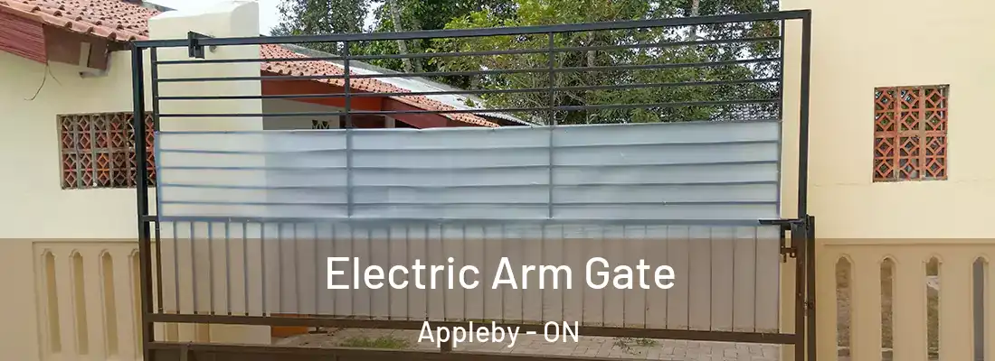  Electric Arm Gate Appleby - ON
