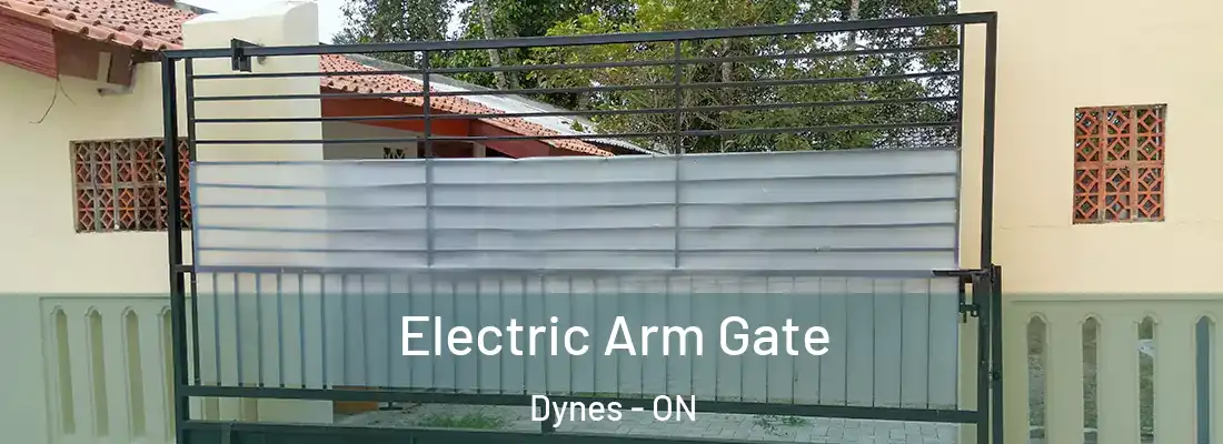  Electric Arm Gate Dynes - ON
