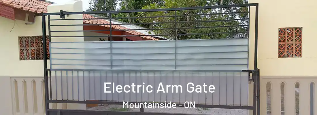  Electric Arm Gate Mountainside - ON
