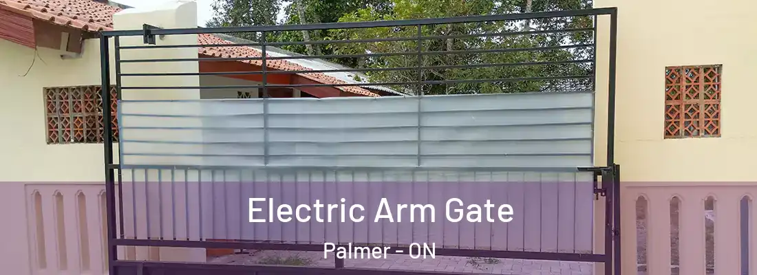  Electric Arm Gate Palmer - ON