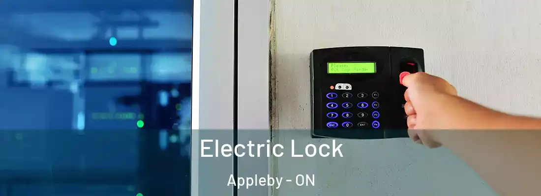  Electric Lock Appleby - ON