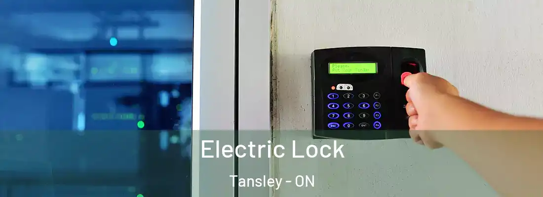  Electric Lock Tansley - ON