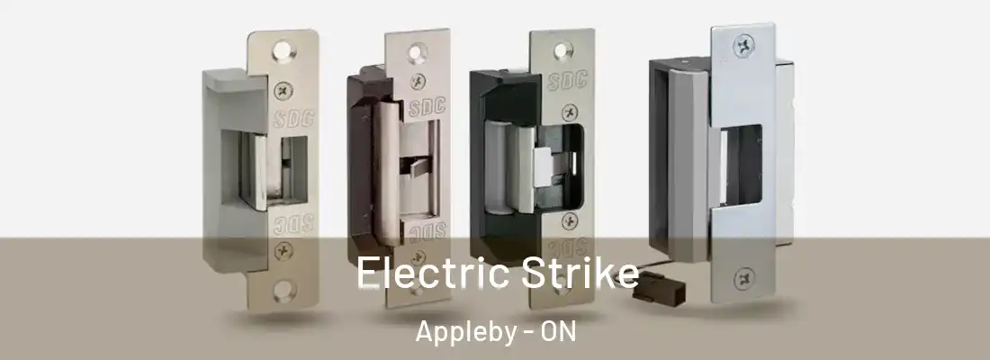  Electric Strike Appleby - ON