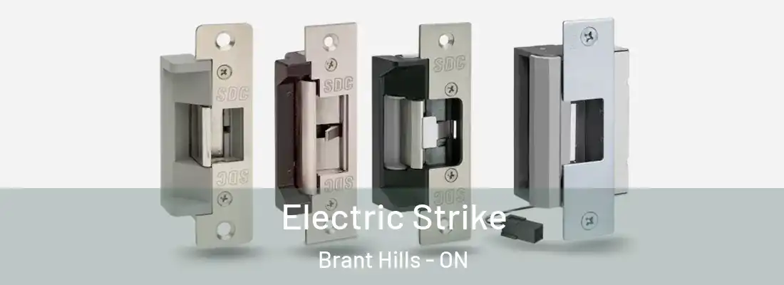  Electric Strike Brant Hills - ON