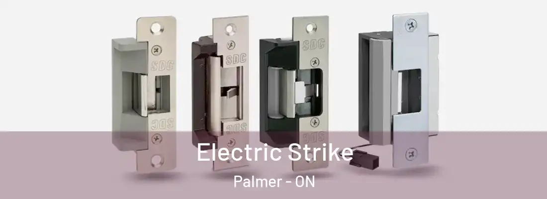  Electric Strike Palmer - ON