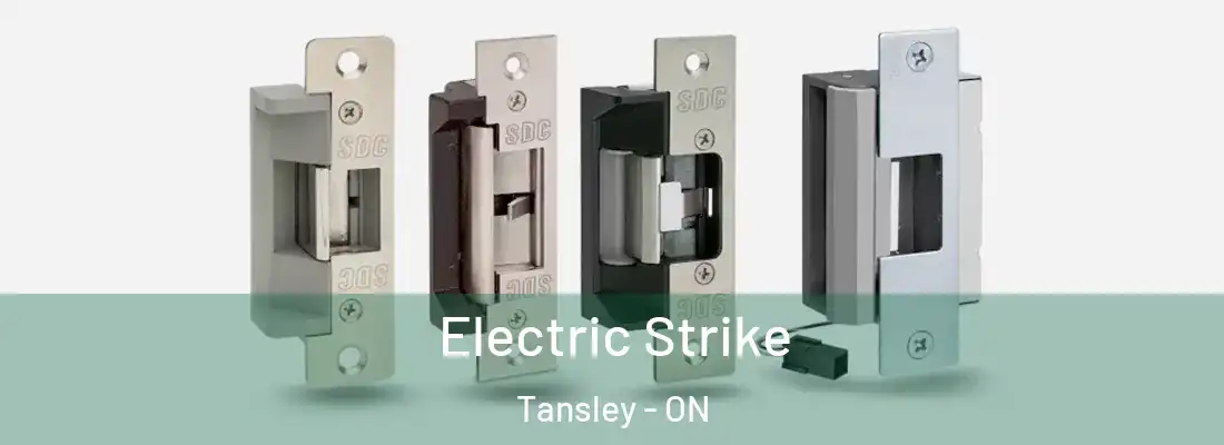  Electric Strike Tansley - ON