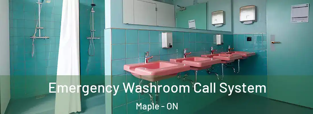  Emergency Washroom Call System Maple - ON
