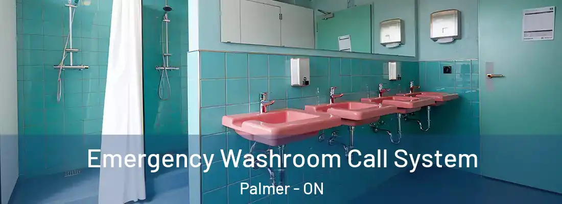  Emergency Washroom Call System Palmer - ON
