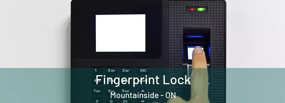  Fingerprint Lock Mountainside - ON