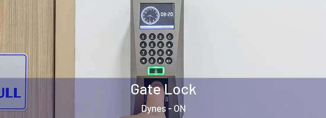  Gate Lock Dynes - ON