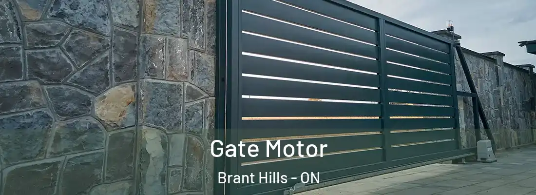  Gate Motor Brant Hills - ON