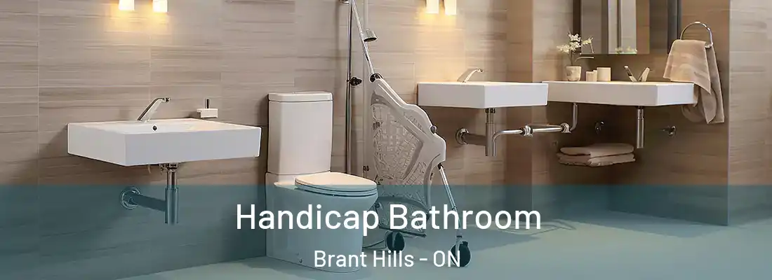  Handicap Bathroom Brant Hills - ON