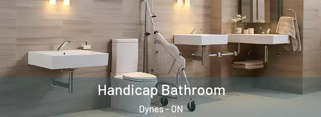  Handicap Bathroom Dynes - ON