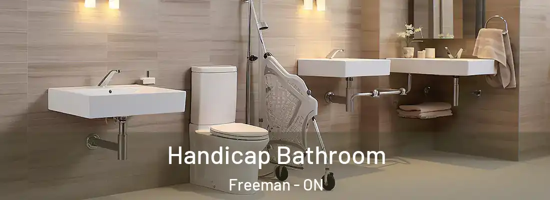  Handicap Bathroom Freeman - ON